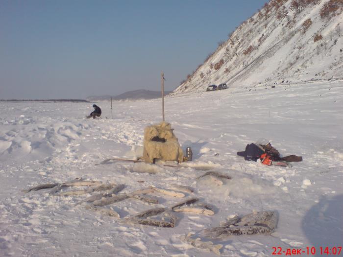 Привет с р. Амур(зимняя сессия)