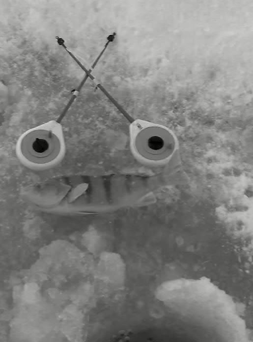 н.з.