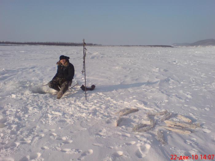 Николай доволен. (Итог дня 20 шт.)