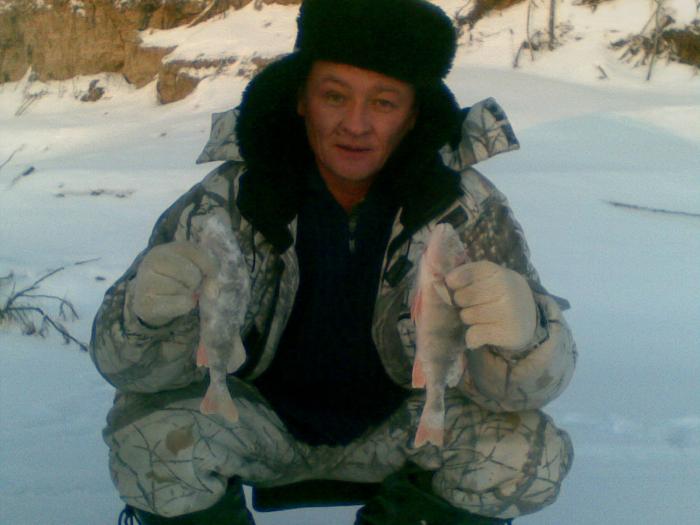 Сузун molotok, 