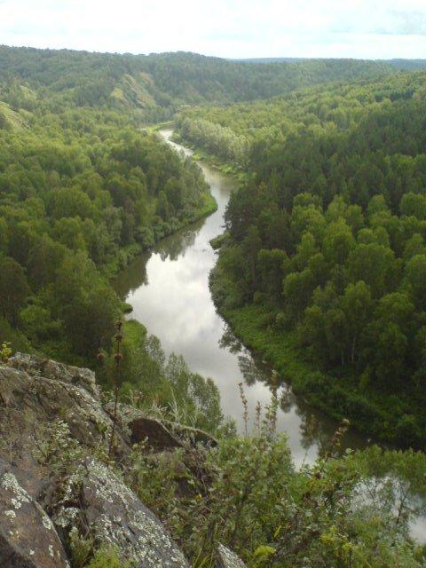 Внизу есть ...  Рыба