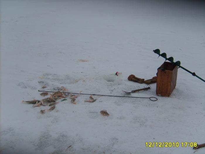 12.12.10 Оз.Чаны, Колояр.