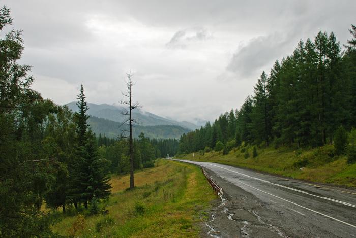 Трасса М52. Семинский перевал.
