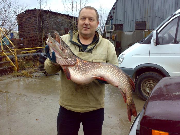 закрыл сезон 06.11.2010 