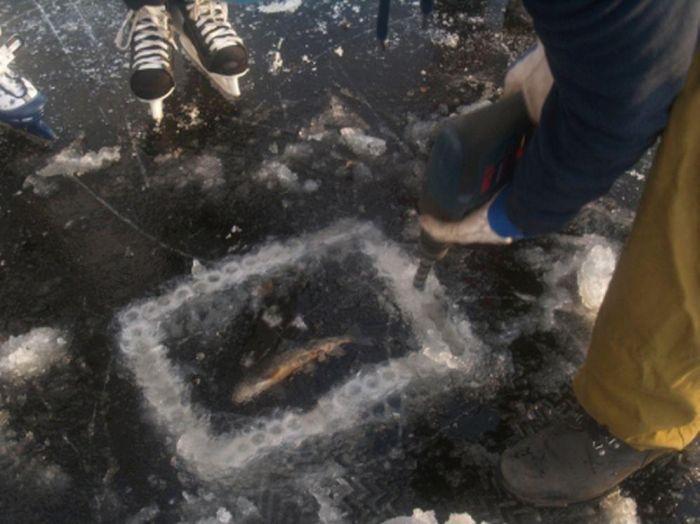 Новая зимняя рыбалка (фото с инета) 