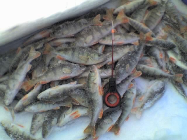 24.12.2010 г.   котлован ЖБИ 