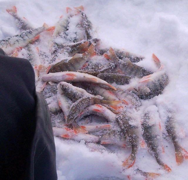 18.12.10 ОВХ
