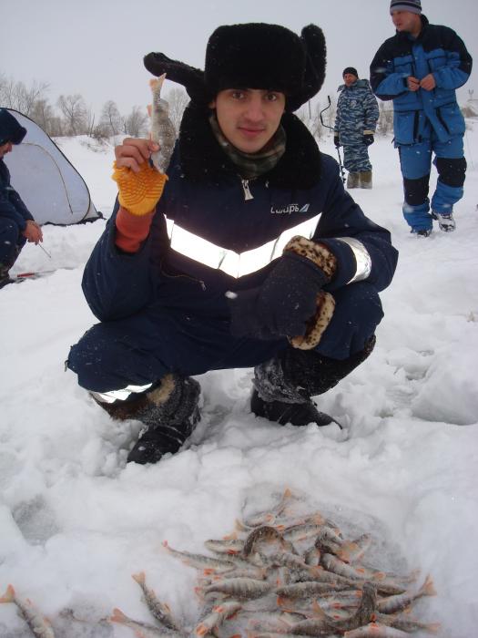 напарник Майкл