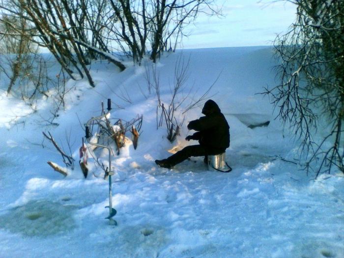 процесс.