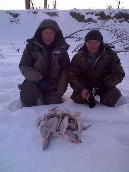 UVK and БЕРДСКИЙ