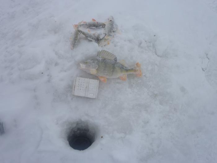 Чаны.30.01.2011