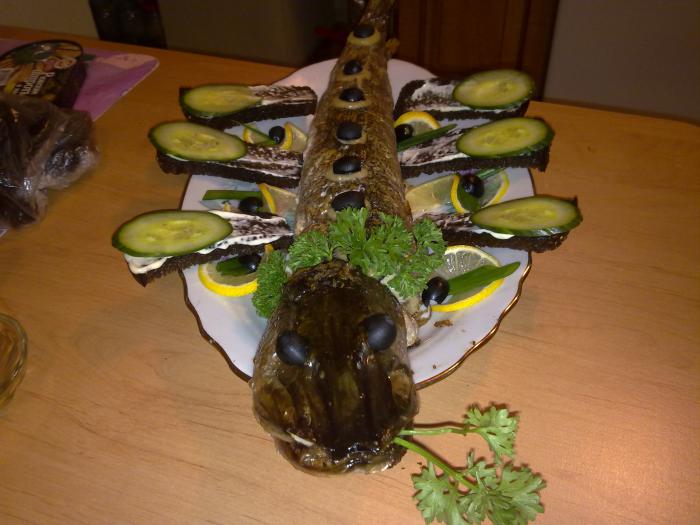 закусь
