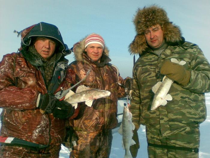 Сегодня Спирино.