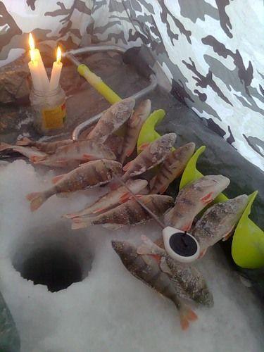 Сегодня, опять Димитровский мост.