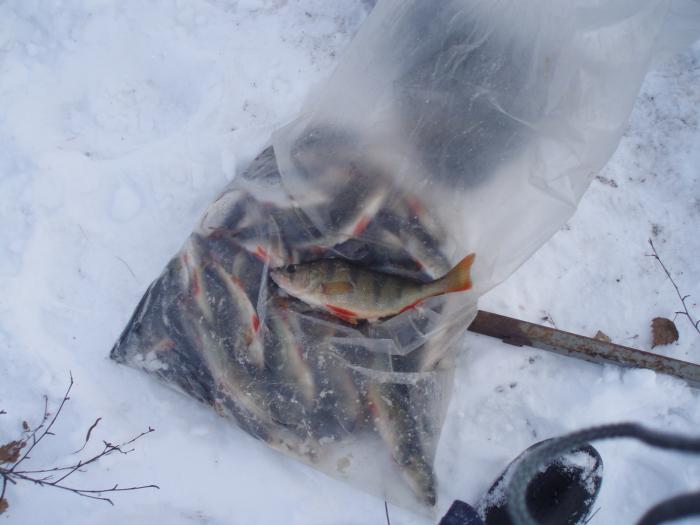 Бобровка