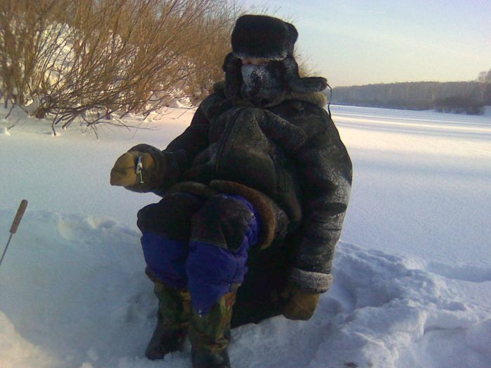 Ни хвоста, ни чешуи...