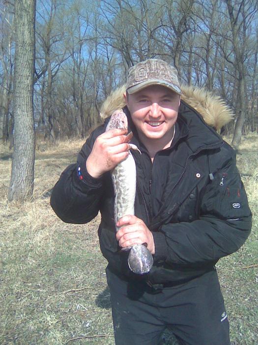 весна 2010