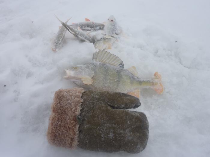 Чаны.30.01.2011