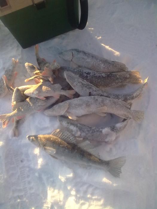 Улов до ОБЕДА! 18.012011Г.