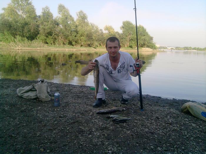 Отдых со спинингом...клевала исключительно мелочёвка