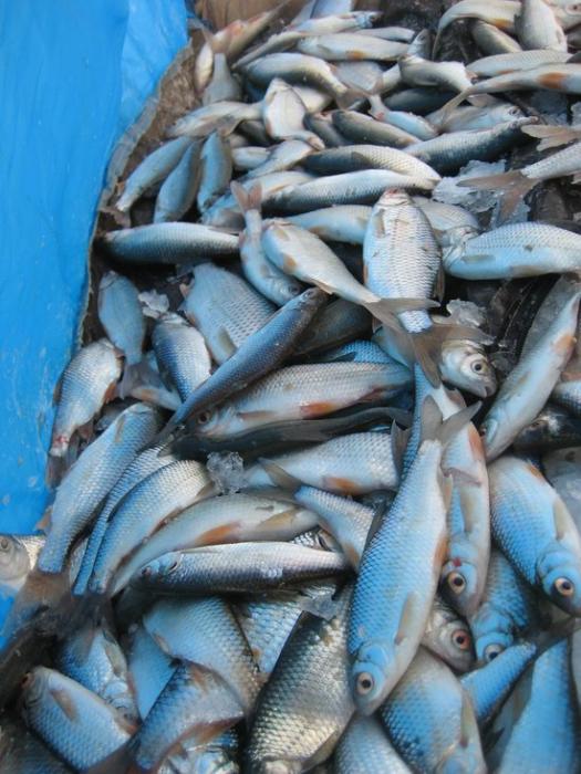 Кинда 05,02,2011