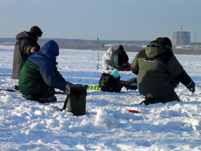 12.02.11.Димитровский мост "ХАПОК"