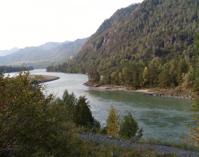 катунь