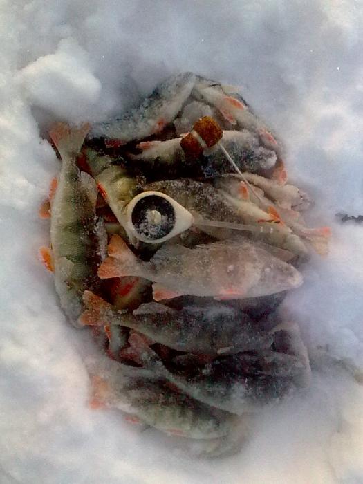 И снова береговое)))