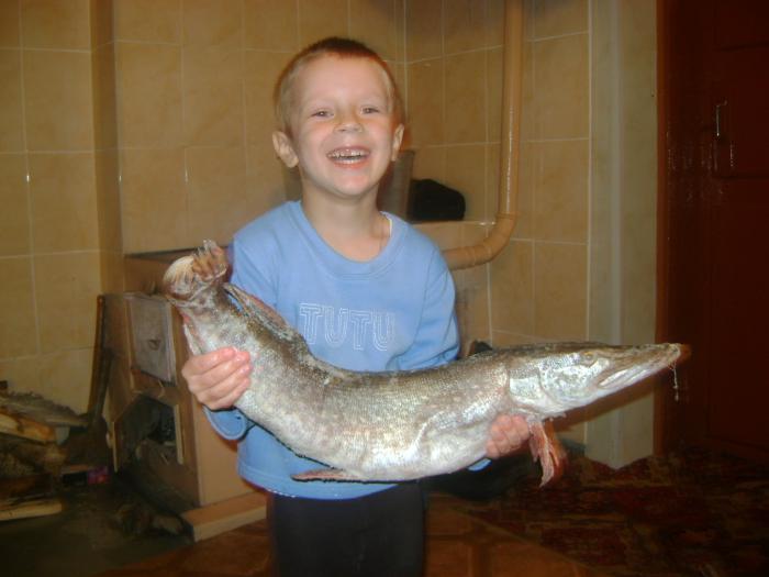 это было в далеком 2008 году