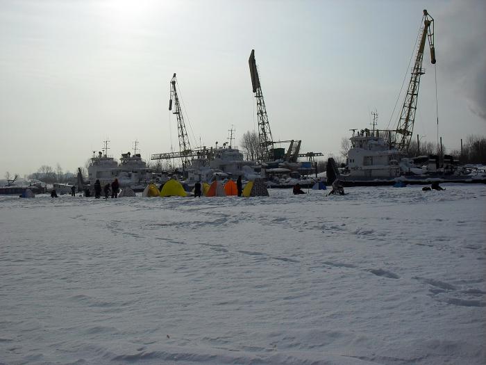У кранов