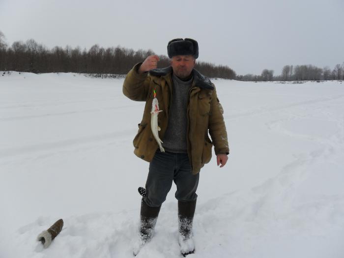 Первая сегодня.