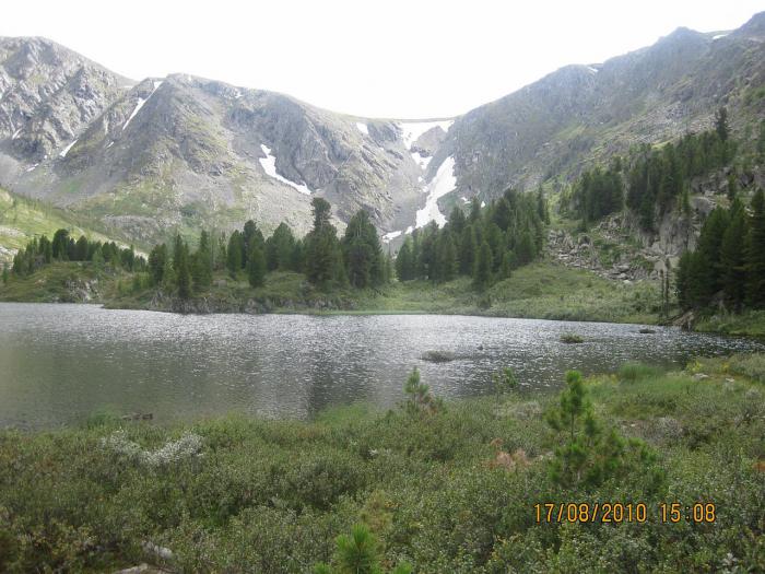 АЛТАЙ