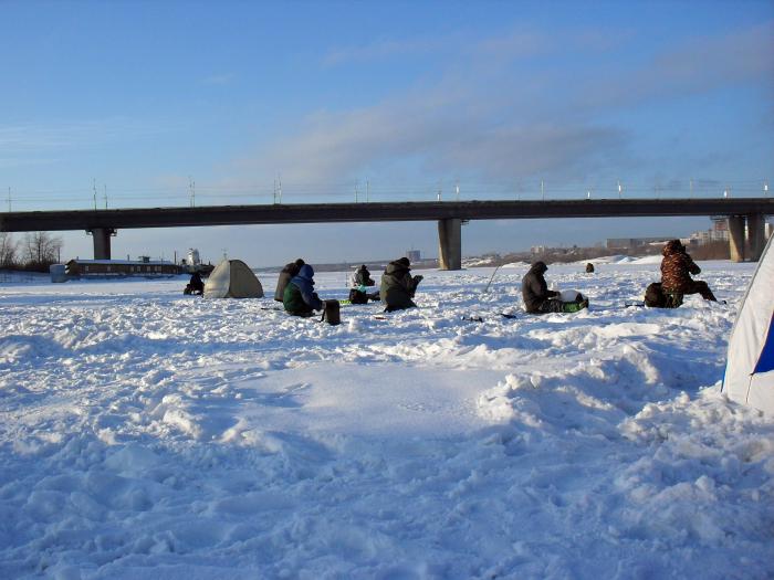 12.02.11.Димитровский мост