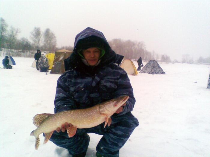 А вот у нас на Оби таких называют "шурагайка"...30.01.2011., Красный Яр, балансир, 4.0 кг.