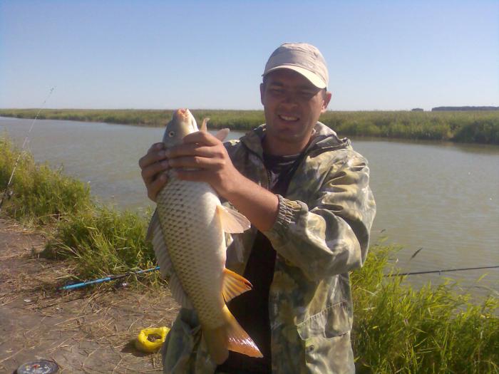 Август 2010 чаны