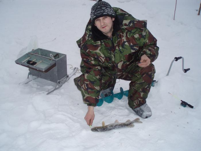Клюнуло.
