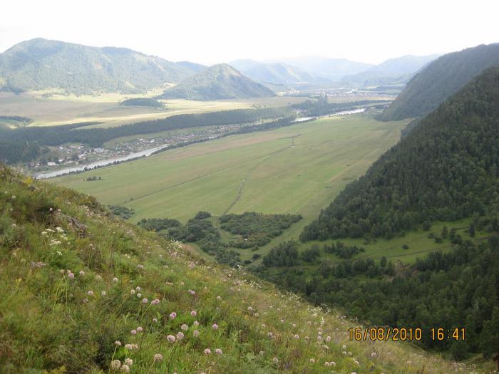 АЛТАЙ