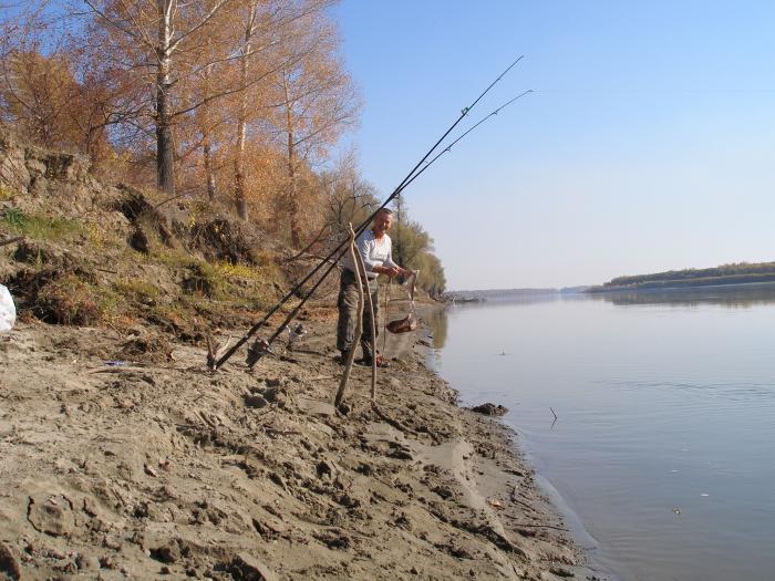 Осень  2009г.