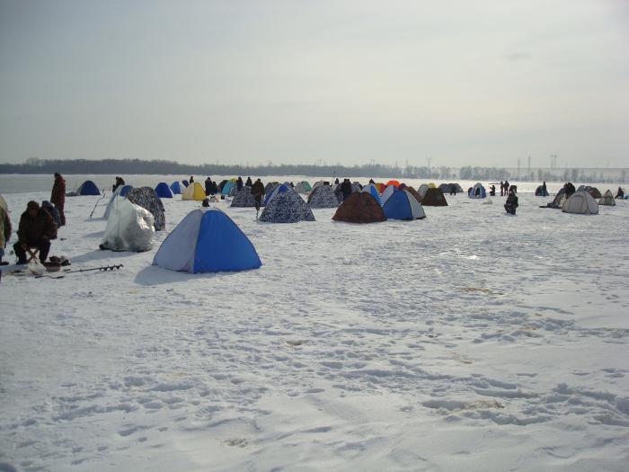 2.03.11г
