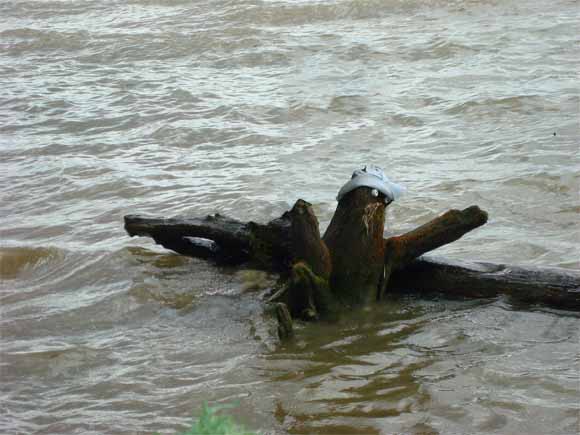 Крокодил и водяной (Каракан)