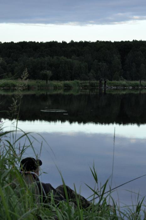 Холод тихой утренней реки…
Грею, растирая, кулаки...