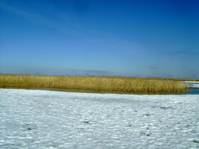 Апрель 2009г. Оз.Чаны.