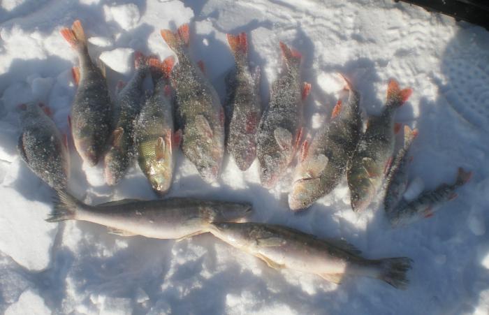 ОВХ, мормышка