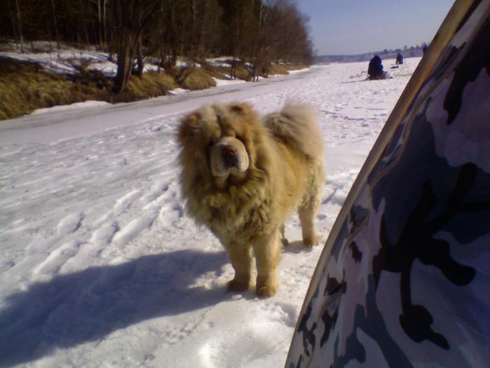 охотник за уловом ))