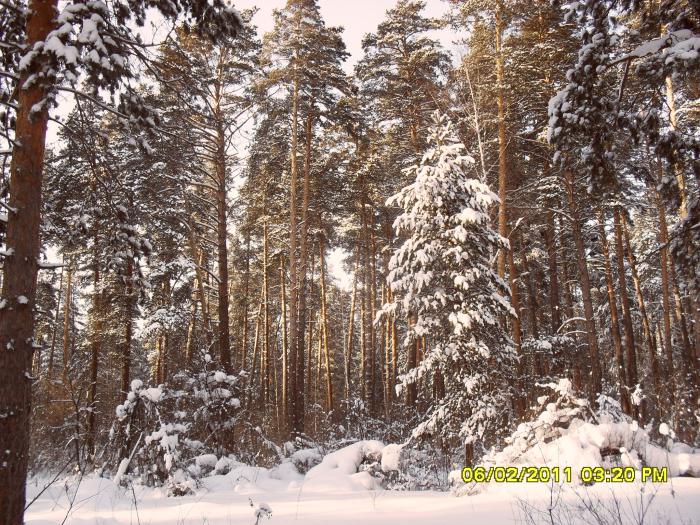 зима2011