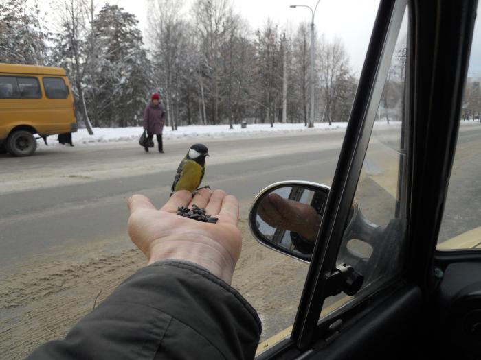 Кушать всем хочется
