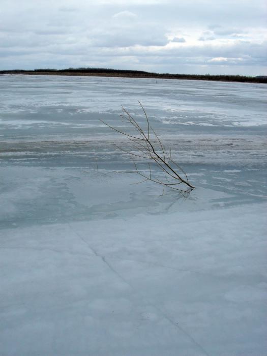Весна 2011. Молчаново, Обь