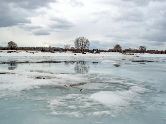 Весна 2011. Молчаново, Обь