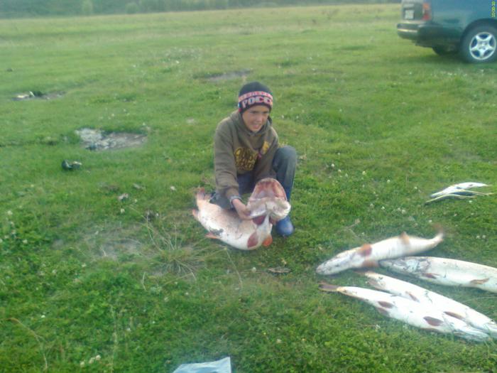 осень 2010