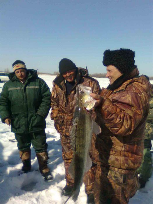 Спирино, 26.03.2011